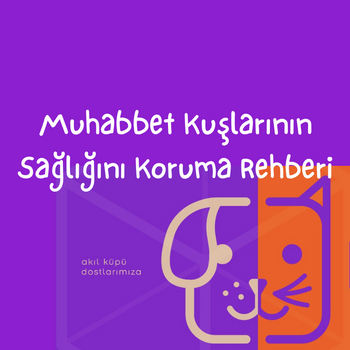Muhabbet Kuşlarının Sağlığını Koruma Rehberi