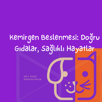 Kemirgen Beslenmesi: Doğru Gıdalar, Sağlıklı Hayatlar