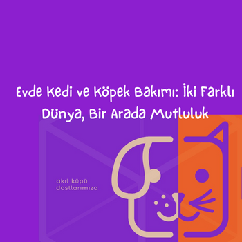 Evde Kedi ve Köpek Bakımı: İki Farklı Dünya, Bir Arada Mutluluk