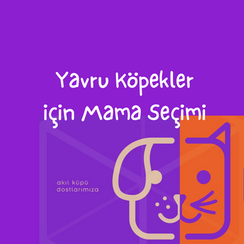 Yavru Köpekler İçin Mama Seçimi
