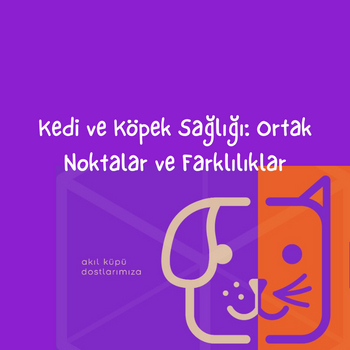 Kedi ve Köpek Sağlığı: Ortak Noktalar ve Farklılıklar