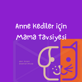 Anne Kediler için Mama Tavsiyesi