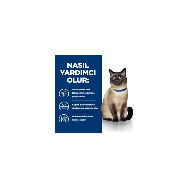 Hill's PRESCRIPTION DIET z/d Kedi Maması 3 Kg