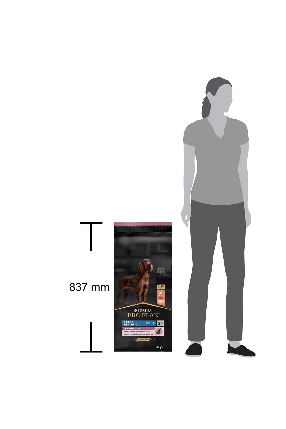Proplan Büyük Irk Somonlu Yetişkin Köpek Maması 14Kg