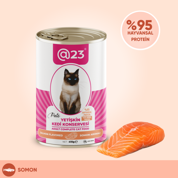 @23 Yetişkin Kedi Konservesi Somon Aromalı 415 g
