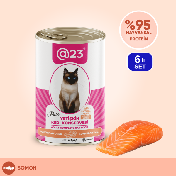 @23 Yetişkin Kedi Konservesi Somon Aromalı 415 g x 6 adet