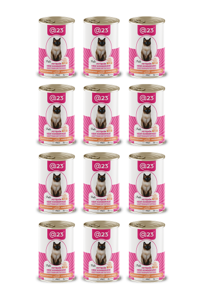 @23 Yetişkin Kedi Konservesi Somon Aromalı 415 g x 12 adet