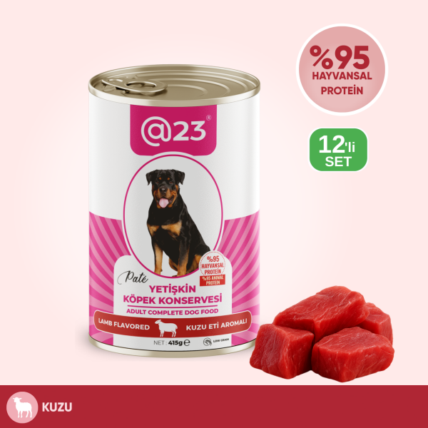 @23 Yetişkin Kedi Konservesi Somon Aromalı 415 g x 12 adet