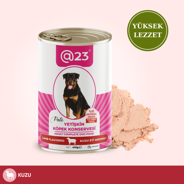 @23 Yetişkin Kedi Konservesi Somon Aromalı 415 g x 12 adet