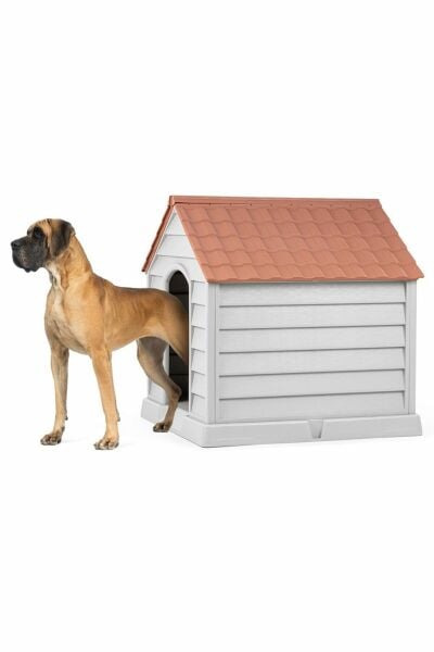 Şenyayla Plastik XXL Büyük Boy Plastik Köpek Kulübesi Büyük Irk Çatı Kahve
