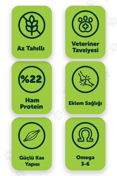 Pawgo Standard Superiority 2 Kg | Kuzu Etli | Yetişkin Köpek Maması