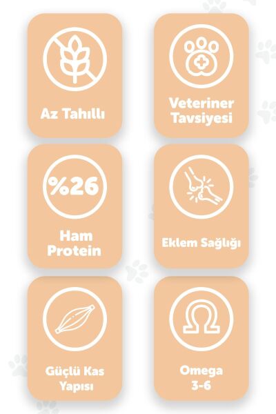 Pawgo Puppy Prime 2 Kg | Kuzu Etli | Yavru Köpek Maması