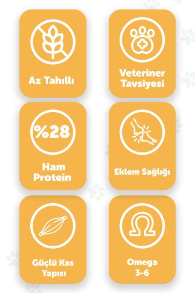 Pawgo Premier Perfection 15 Kg | Kuzu Etli | Yetişkin Köpek Maması