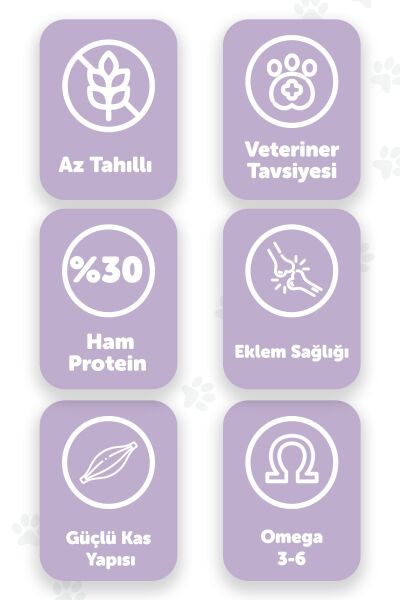 Pawgo Premier Perfection 15 Kg | Tavuk Etli | Hypoallergenic | Düşük Tahıllı | Kedi Maması