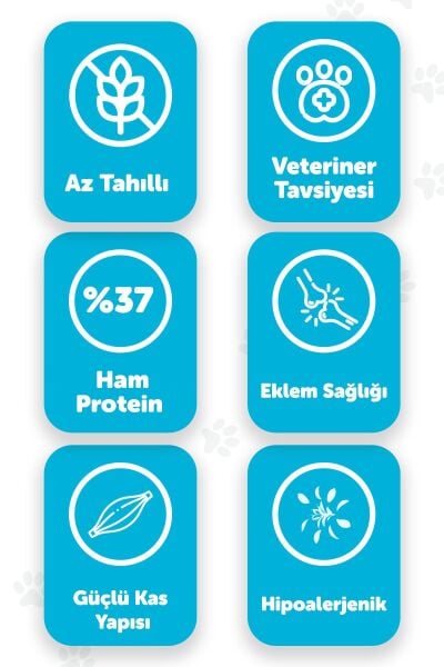 Pawgo Kitten King 2 Kg | Hypoallergenic | Tavuk Etli | Yavru Kedi Maması
