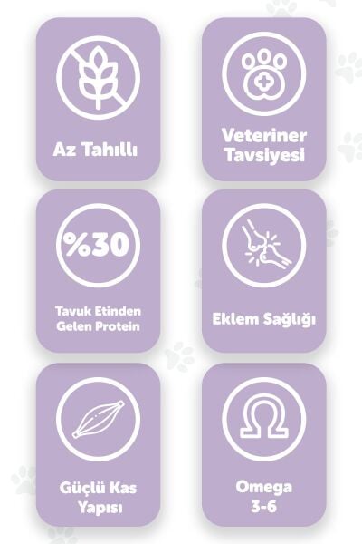 Pawgo Premier Perfection 2 Kg | Tavuk Etli | Hypoallergenic | Kedi Maması
