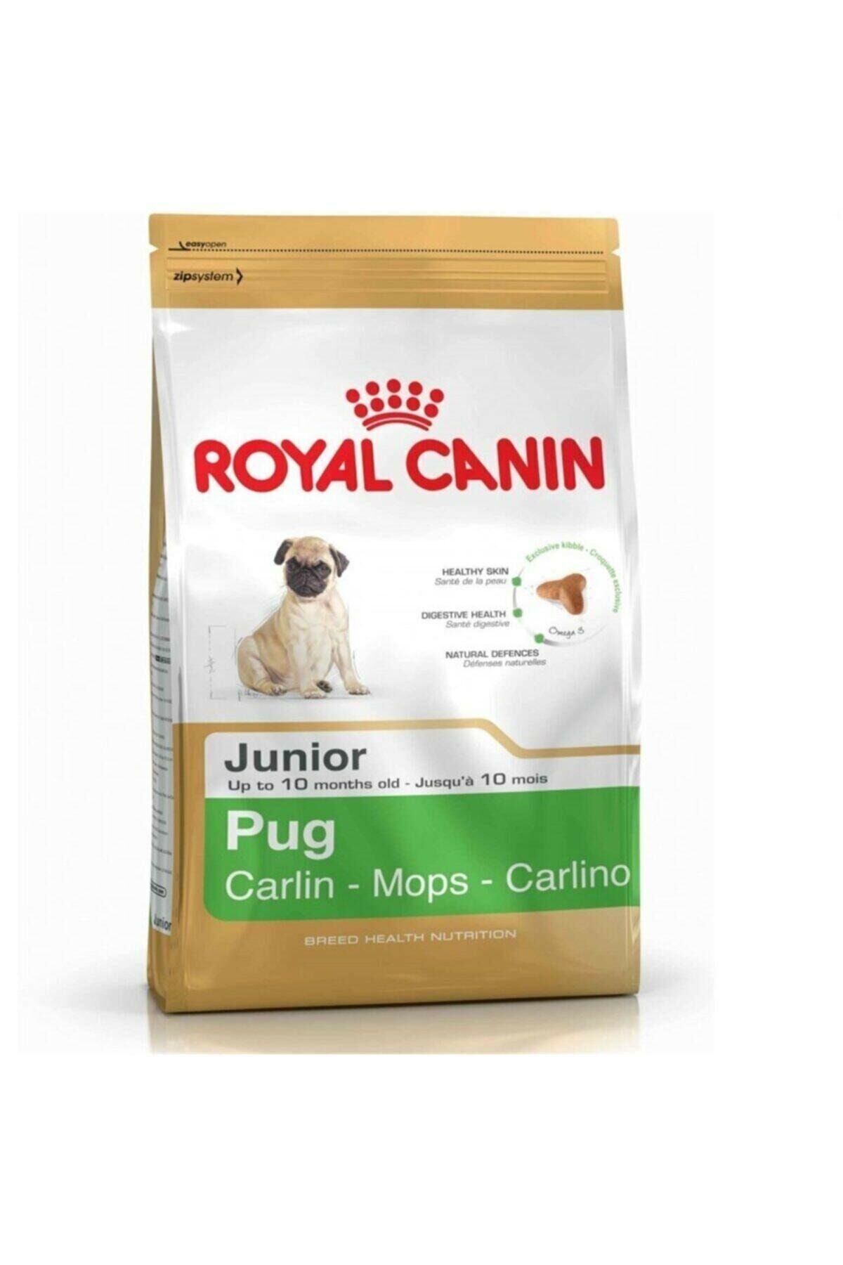 Royal Canin Pug 25 Irkına Özel Junior 1.5 Kg Yavru Köpek Maması