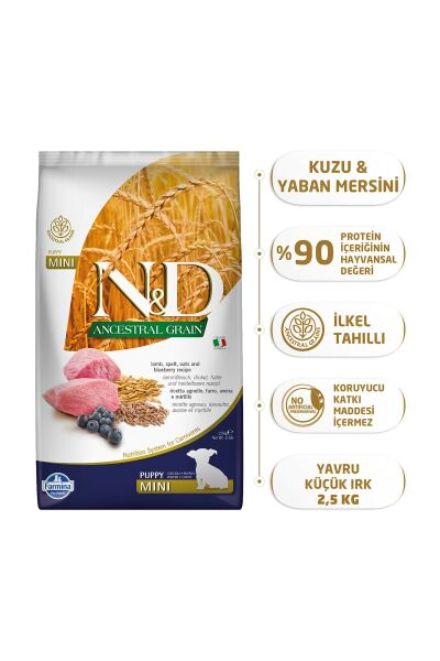 Ancestral Graın  Kuzu & Yaban Mersini Puppy Mını 2.5 Kg