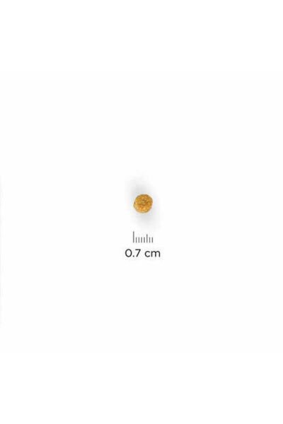 Hills Young Sterilised Tavuklu Kısırlaştırılmış Yetişkin Kedi Maması 10 Kg