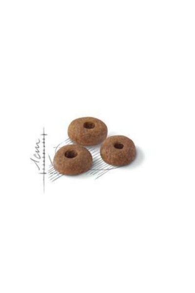 Royal Canin Fit 32 Yetişkin Kedi Maması 4Kg