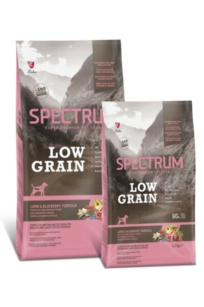 Spectrum Kuzulu Orta Büyük Irk Yavru Köpek 2,5Kg