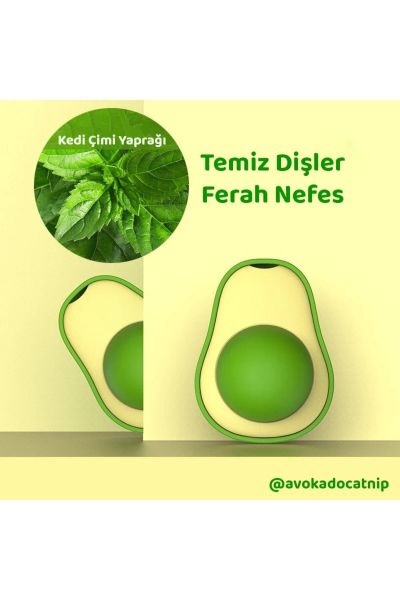 Küppet Avokado Catnip Avokado Kedi Çimi Topu Avokado Kedi Nanesi Oyuncağı