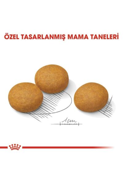 Royal Canin Medium Dermacomfort Yetişkin Köpek Maması 12 Kg