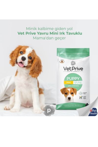 Vet Prive Mini Ve Küçük Irk Yavru Köpek Maması Tavuklu 3 Kg
